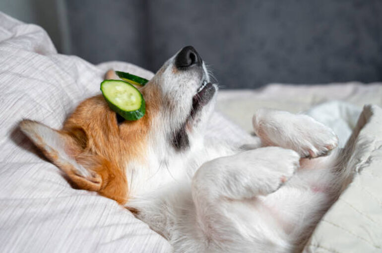 istockphoto-1188690247-612x612
