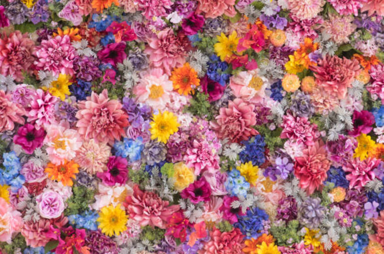 istockphoto-659171982-612x612
