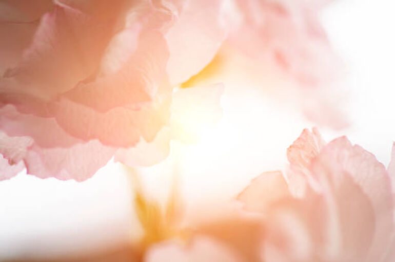 istockphoto-1208537858-612x612