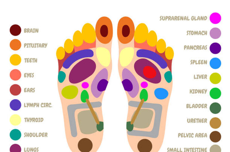 istockphoto-1478353410-612x612