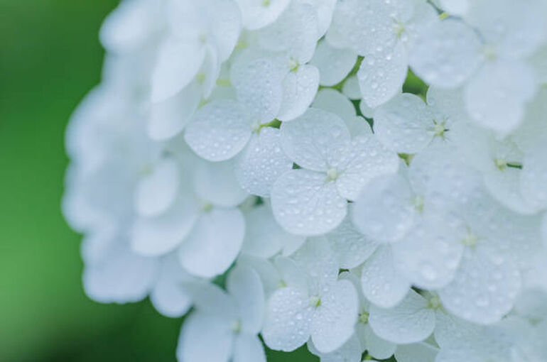istockphoto-1474915547-612x612